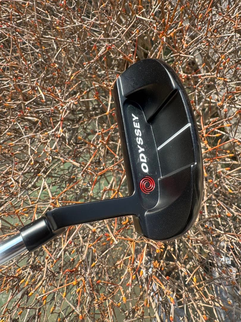 プロ支給品ODYSSEY WHITE ICE ix #5 CH 355g