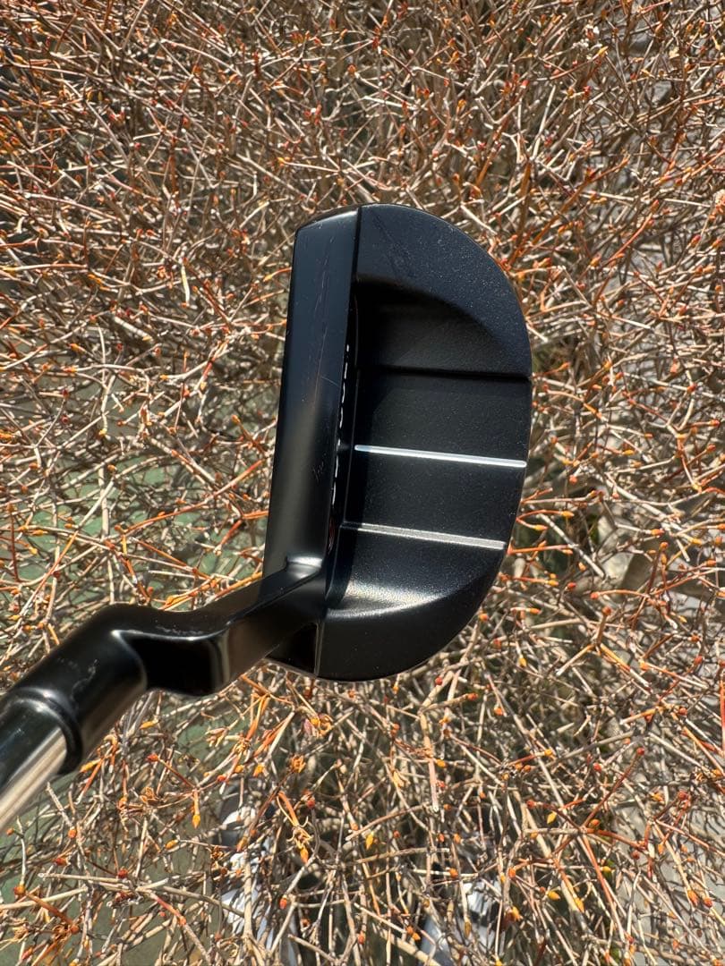 プロ支給品ODYSSEY WHITE ICE ix #5 CH 355g