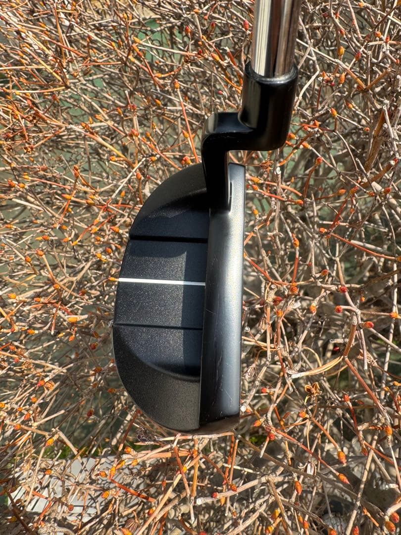 プロ支給品ODYSSEY WHITE ICE ix #5 CH 355g