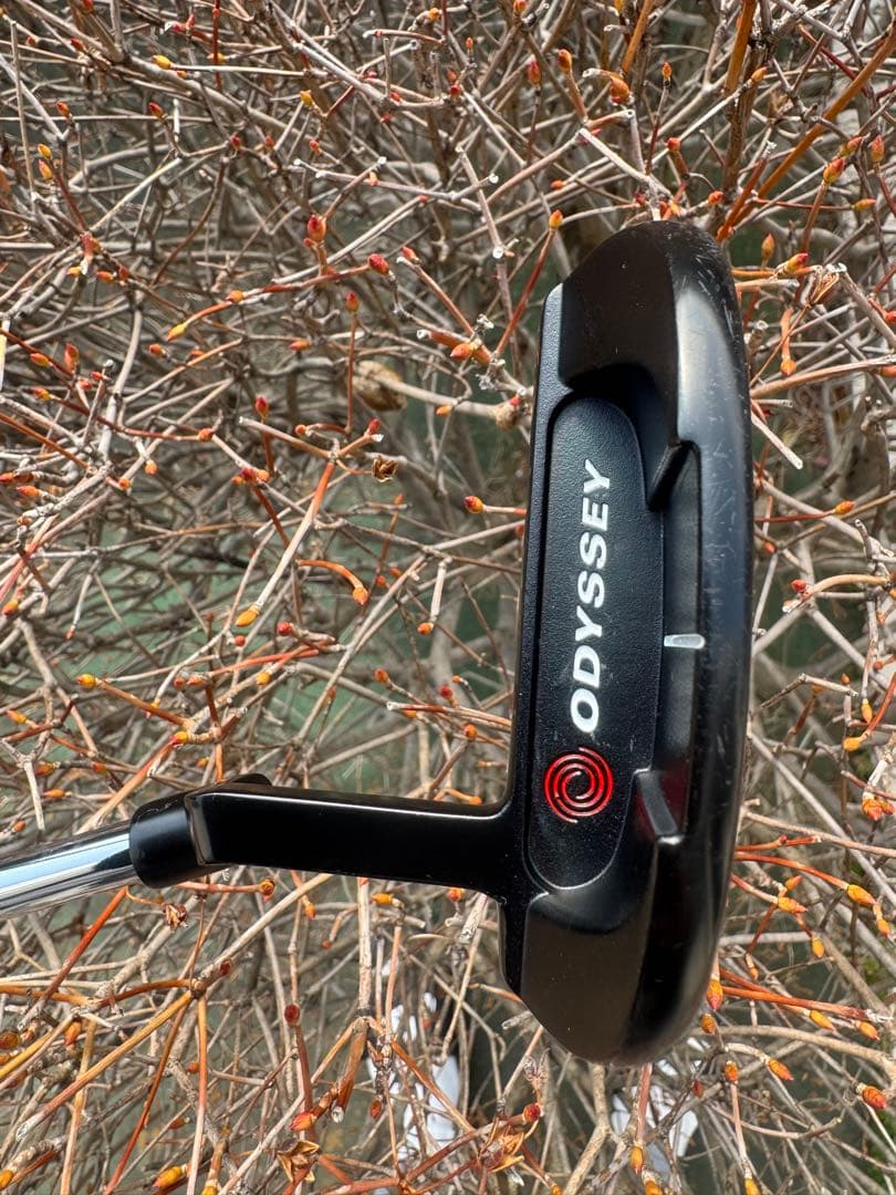 プロ支給品ODYSSEY WHITE ICE ix #5 CH 355g