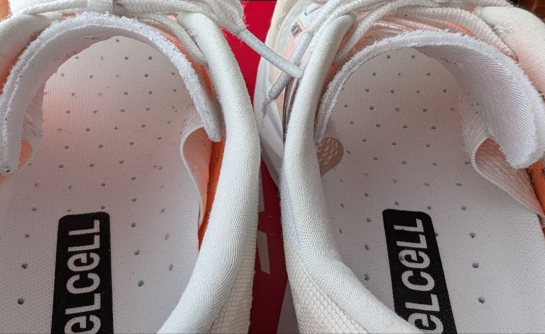 25.0㎝ ニューバランス フューエルセル レベル V4 WFCXCN4 NB