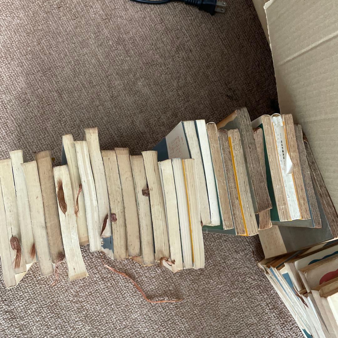 岩波文庫　まとめ売り126巻