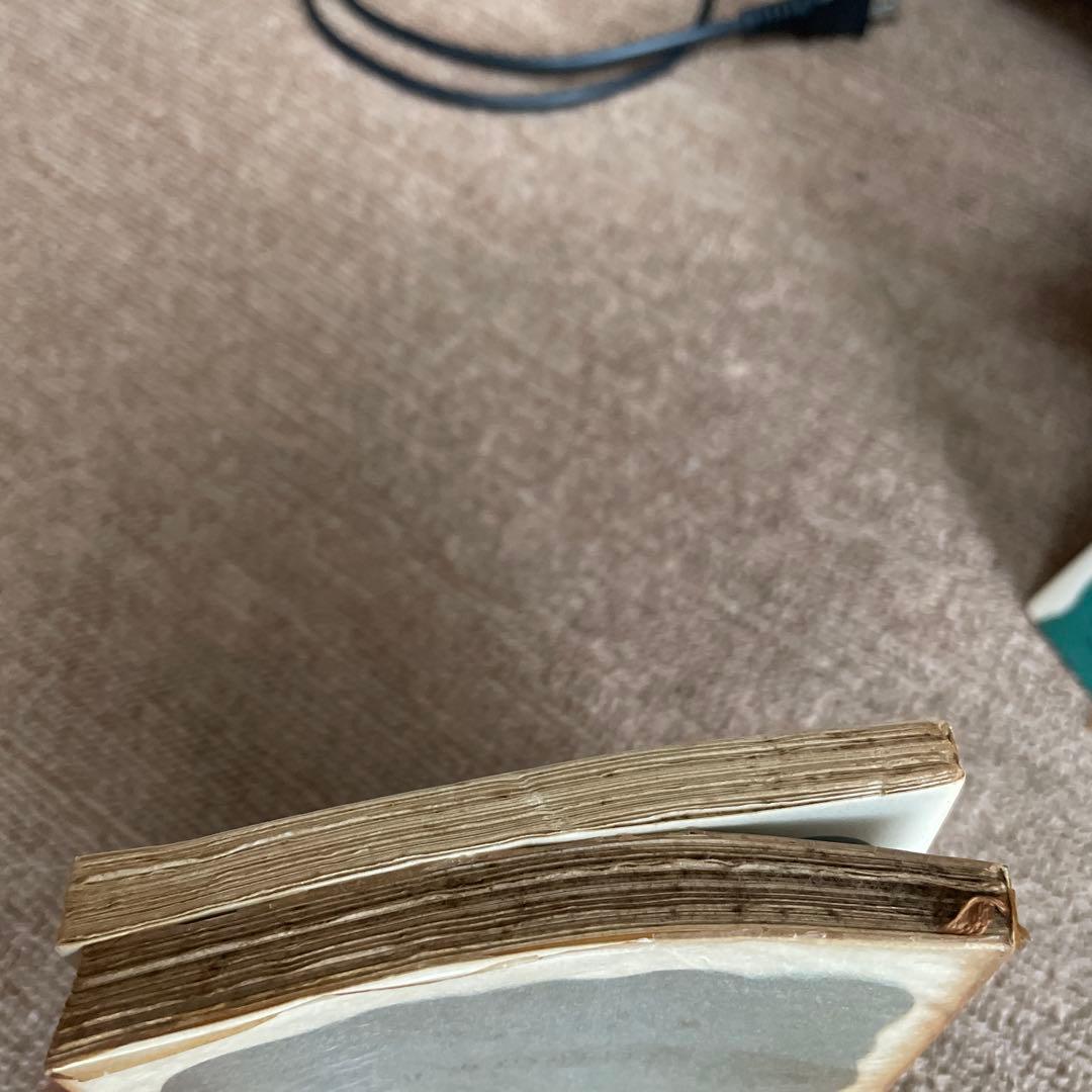 岩波文庫　まとめ売り126巻