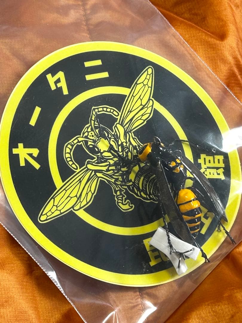 ★希少※入手難‼️オータニ昆虫館※リアルスズメバチ★