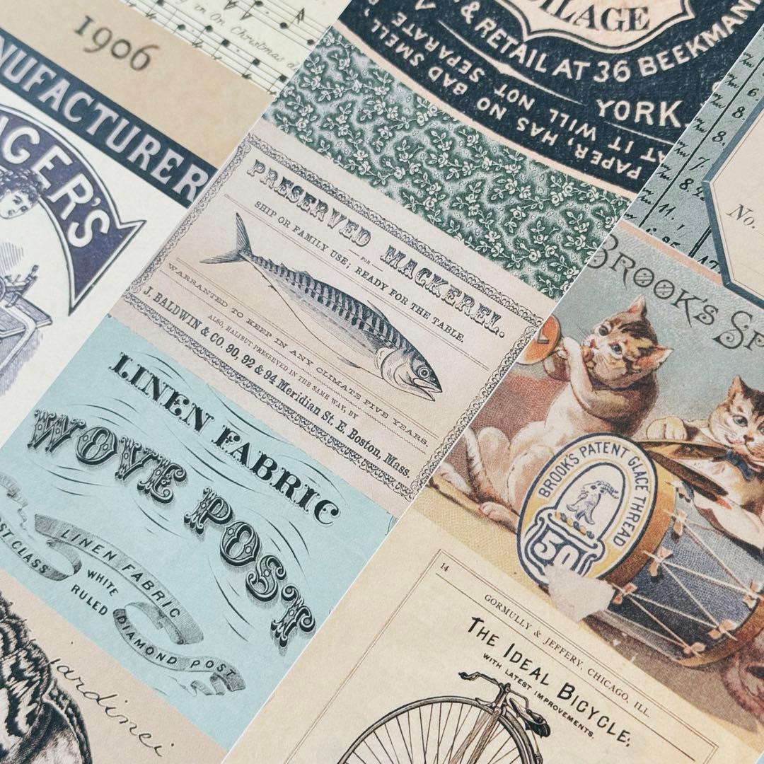 8月新作フルセット3