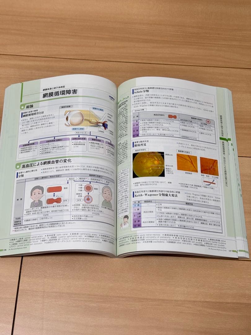 病気がみえる 1〜12巻 セット ほぼ未使用 書き込みなし 医学書