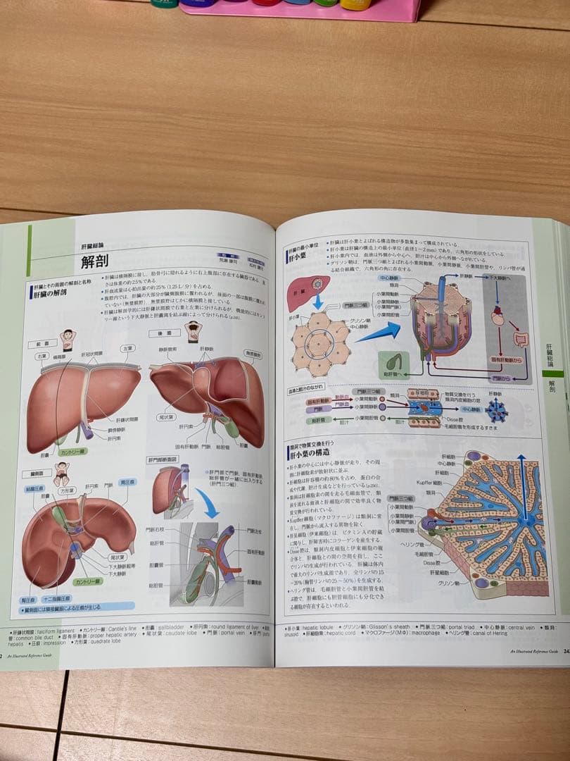 病気がみえる 1〜12巻 セット ほぼ未使用 書き込みなし 医学書