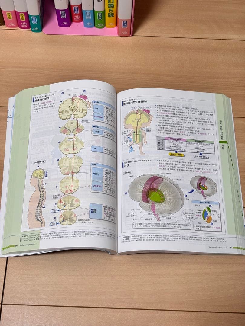 病気がみえる 1〜12巻 セット ほぼ未使用 書き込みなし 医学書