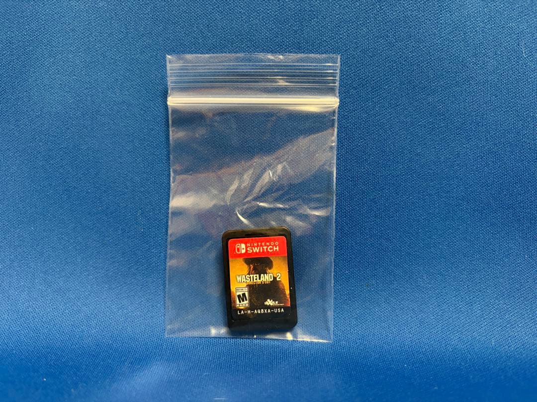 Switchソフト WASTELAND2 ウェイストランド2 スイッチソフト