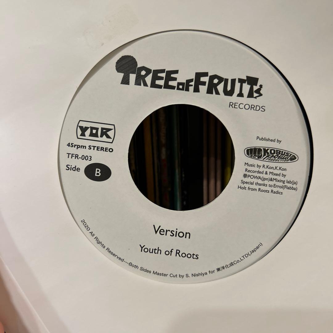 Youth of Roots Strawberry Girl レゲエレコード