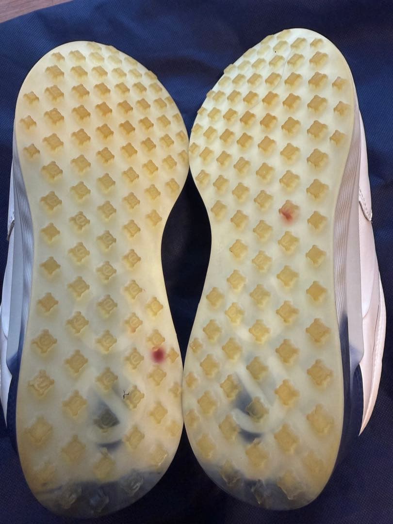 訳あり美品　26.5 ECCO ゴルフシューズ ホワイト