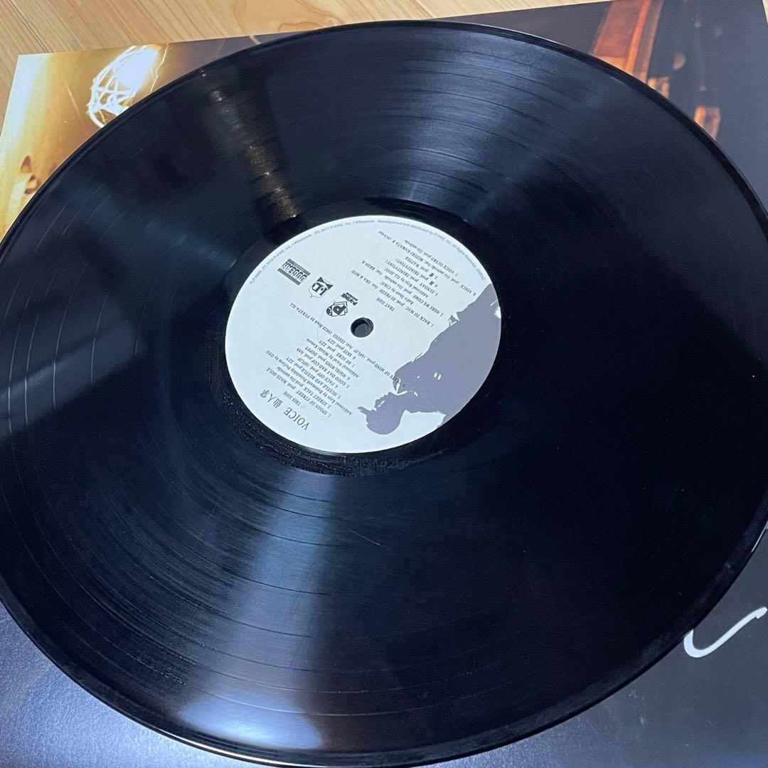 仙人掌 VOICE LPレコード