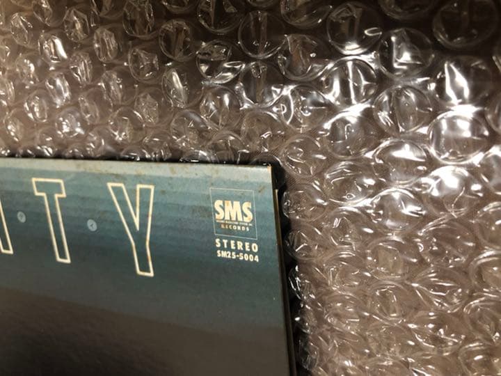 DEVILS デビル デビルス / DIRTY CITY