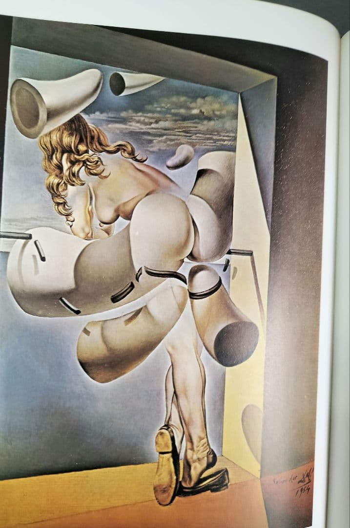 サルバドール・ダリ 全画集 全2巻 [アート・洋書]