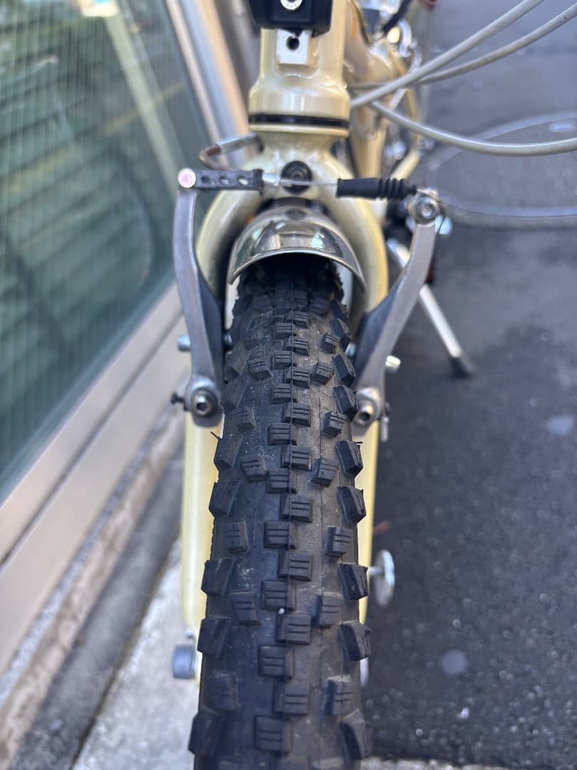 ダホン ボードウォーク D7 DAHON Boardwalk D7 カスタム