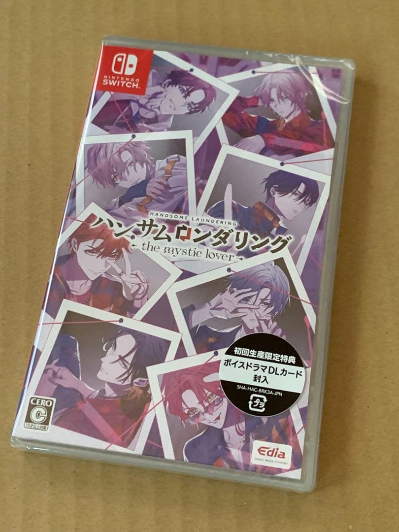 【新品未開封】Switch ハンサムロンダリング ザミスティックラバー 通常版