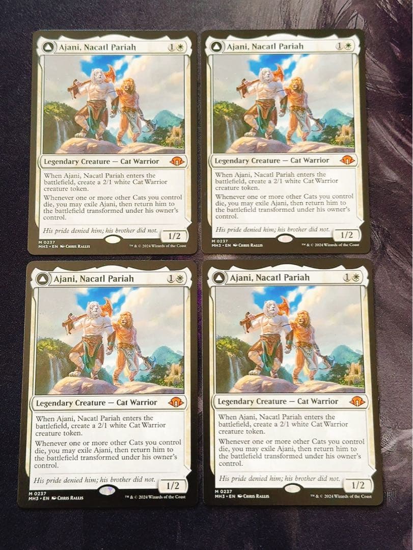 ナカティルの最下層民、アジャニ　英語　枚セット