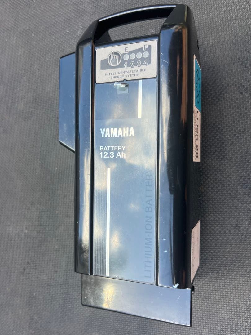 ブリジストン電動アシスト自転車アンジェリーノ本体 関東圏配送可能20インチ