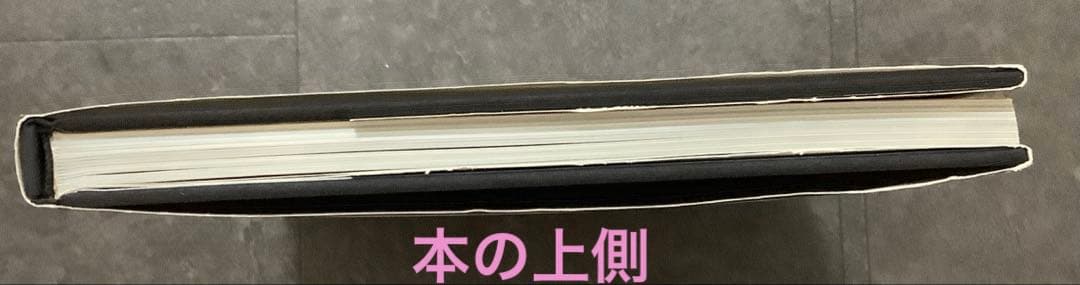 【レア】 セルジュ・ルタンス 写真集 1998年 絶版 箱入り