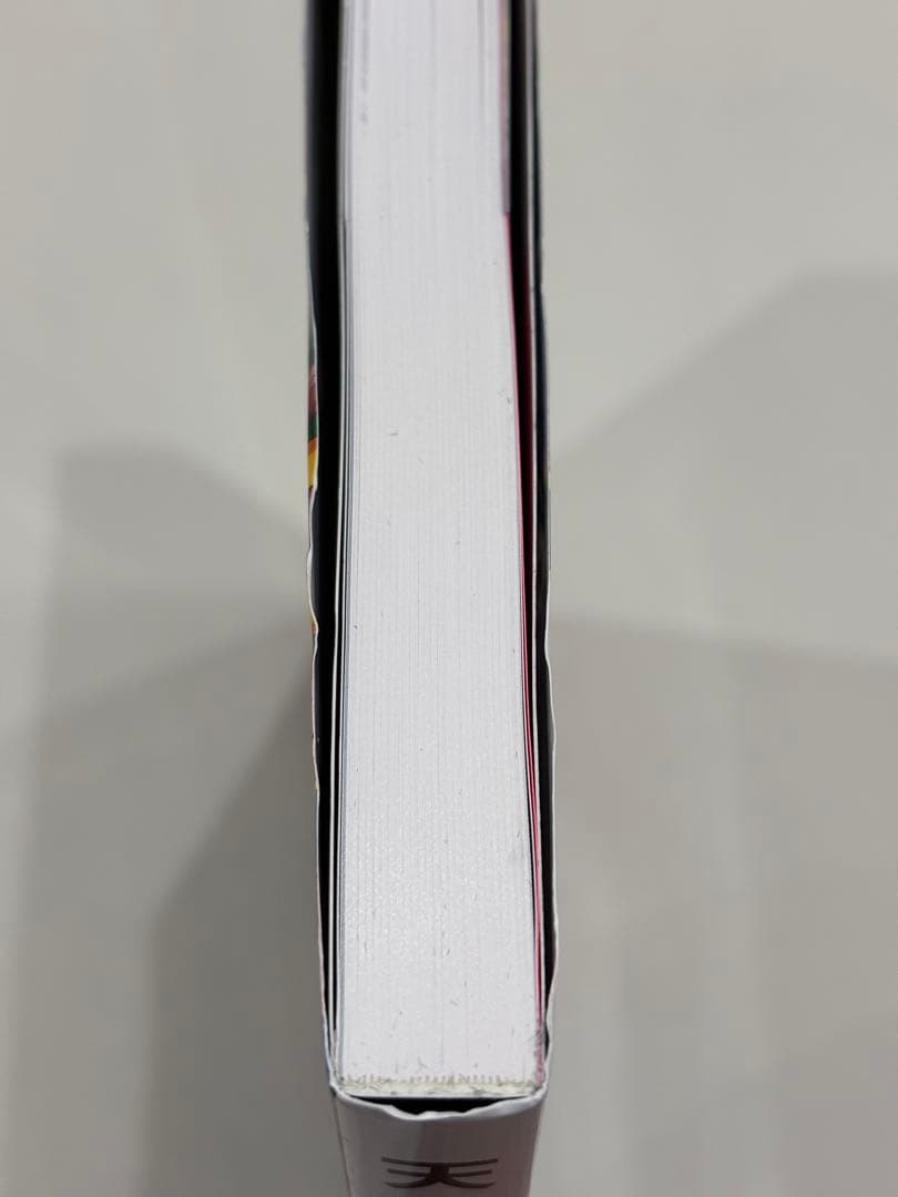 天野喜孝展 画集 -想像を超えた世界- 図録