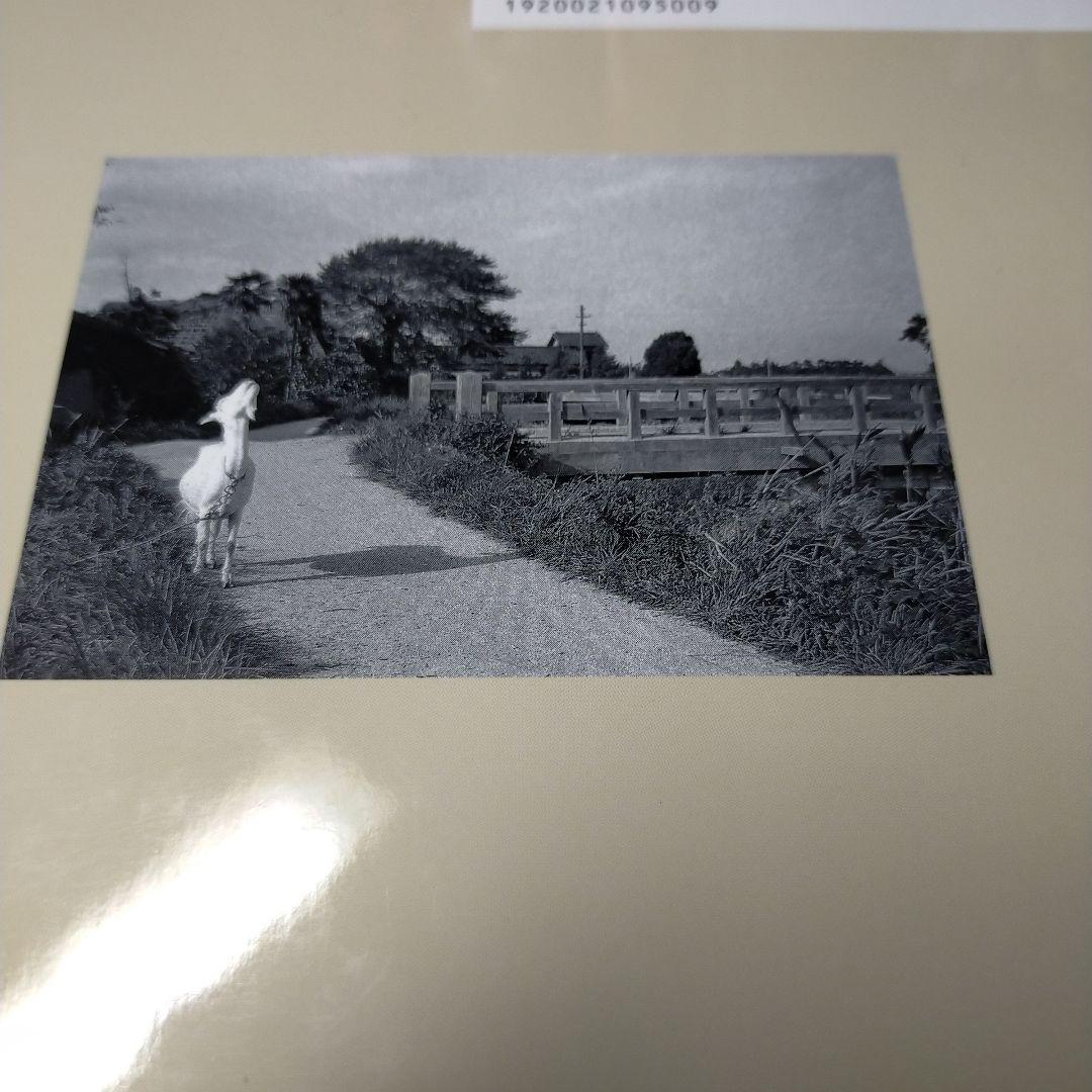 福岡市の今昔 下巻 保存版