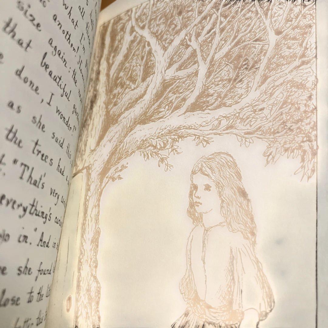 不思議の国のアリス 幻の原本 複製本豪華丁2冊組キャロル直筆再現 写真栞カード付