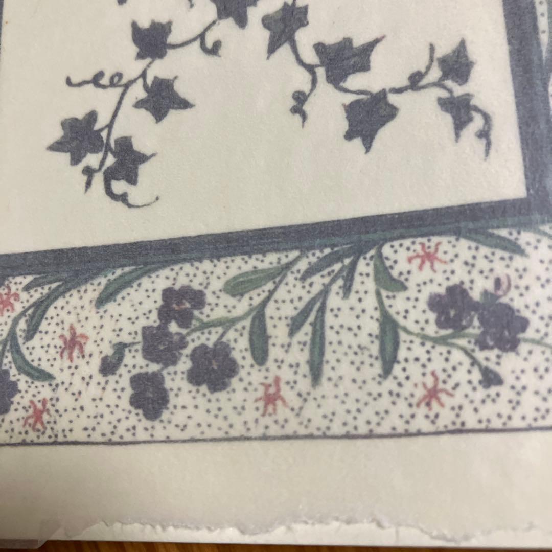 不思議の国のアリス 幻の原本 複製本豪華丁2冊組キャロル直筆再現 写真栞カード付