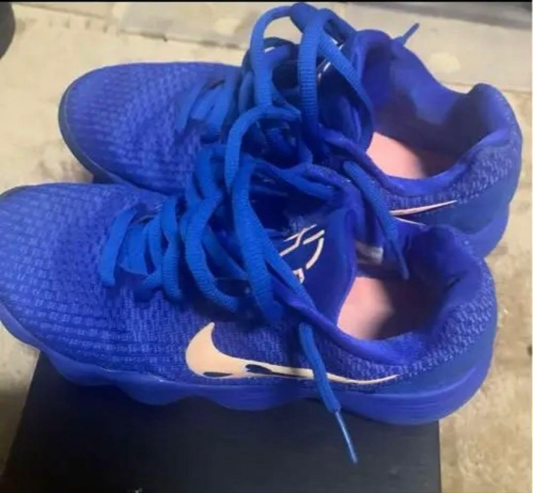 NIKE HYPER DUNK 2017 ハイパーダンク2017