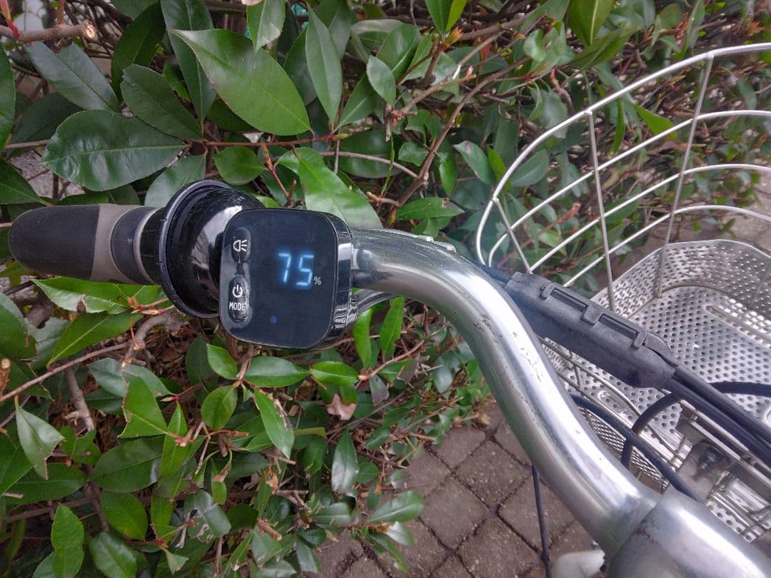 BRIDGESTONE アルベルトe 26インチ