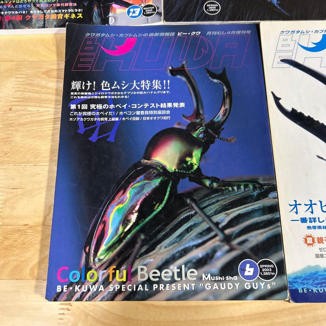 ビークワ7冊.月刊むしブックス5まとめ売り