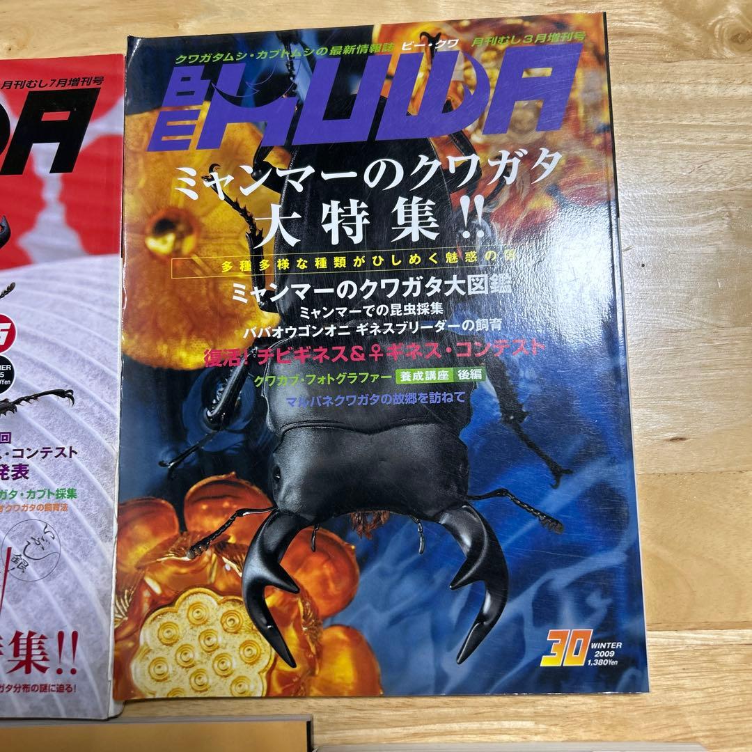 ビークワ7冊.月刊むしブックス5まとめ売り