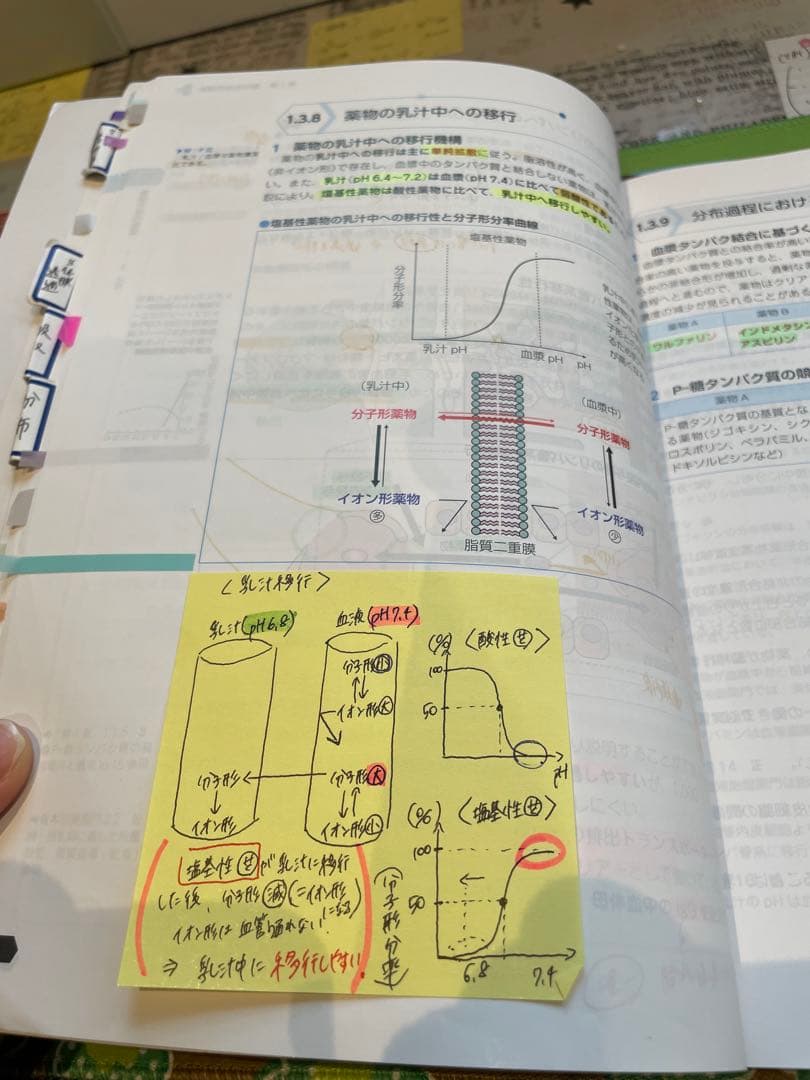 薬剤師国家試験対策 青本・青問セット/110回対策用