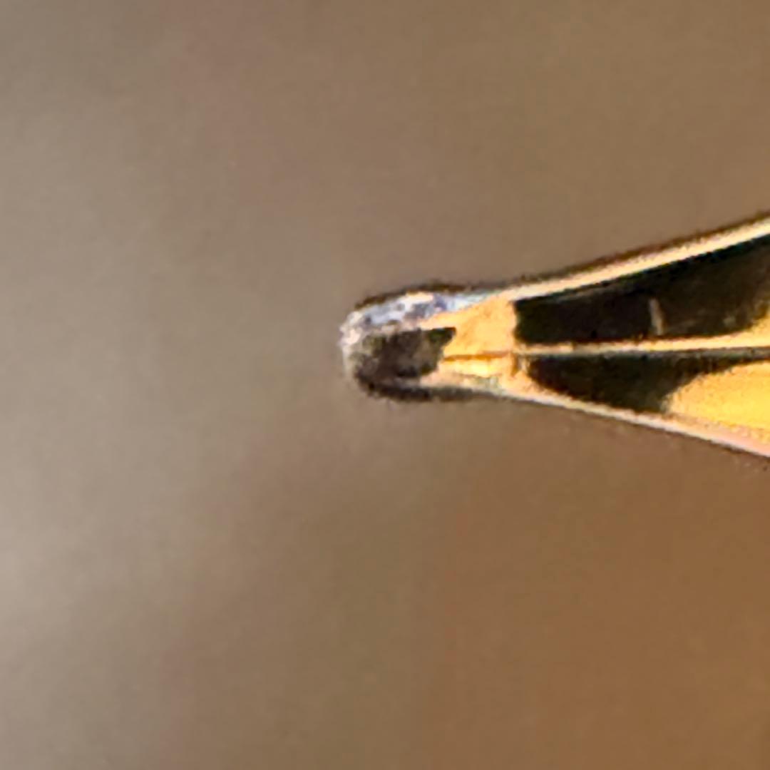 【訳あり】WATERMAN万年筆 18K エキスパート エッセンシャル ブラック