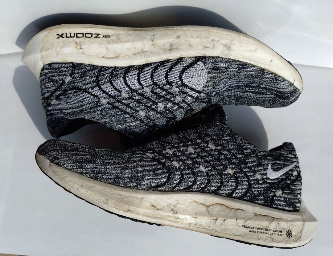 ASICS ソーティマジックRP6/NIKEペガサスターボネクストネイチャー