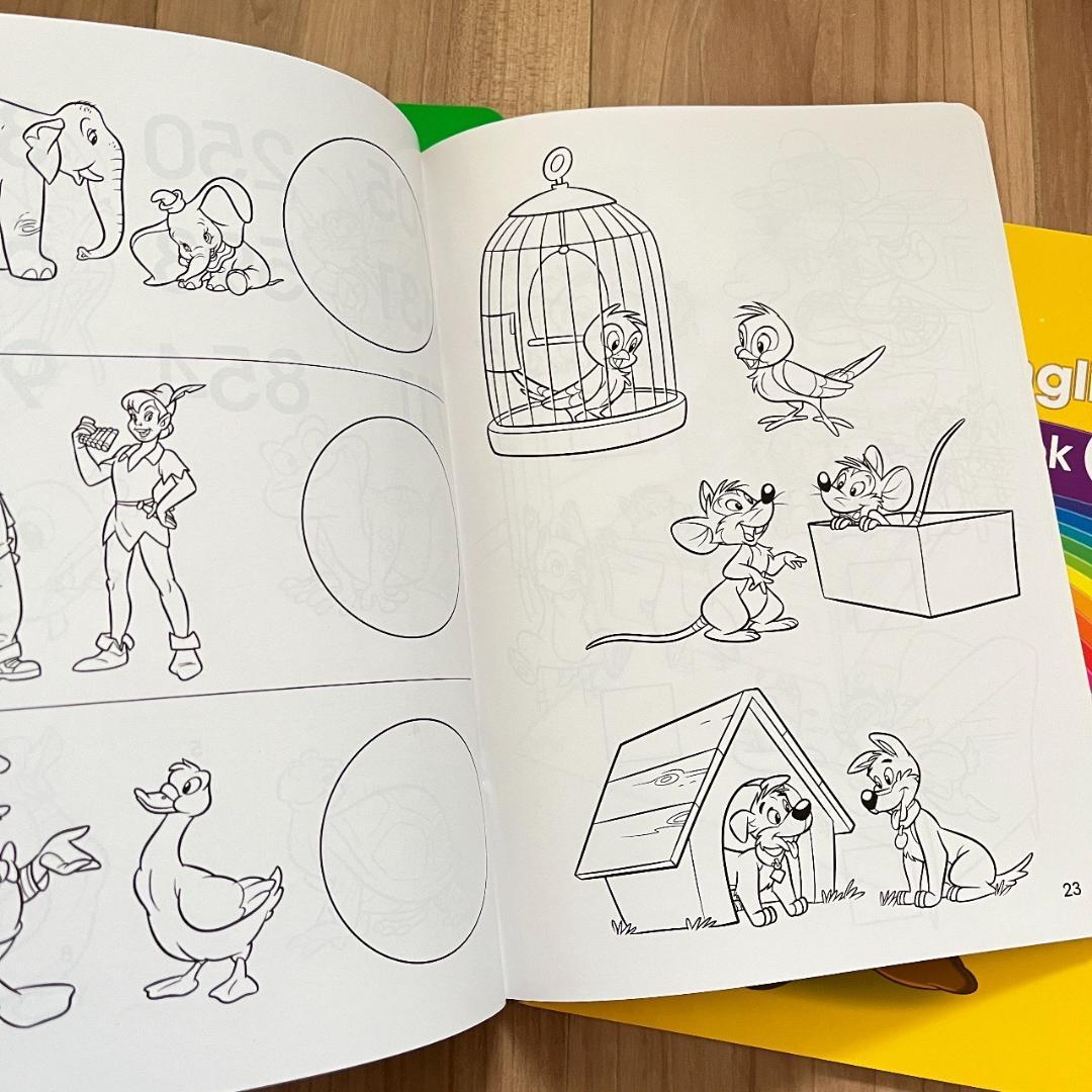 DWE ミッキーパッケージフルセット【追加写真】2022年購入