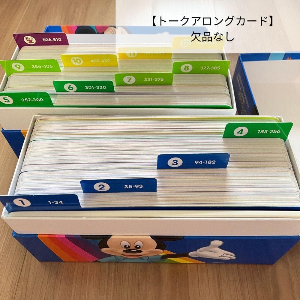 DWE ミッキーパッケージフルセット【追加写真】2022年購入