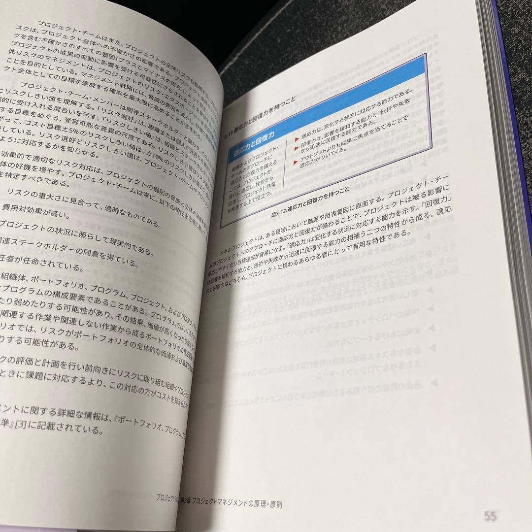 プロジェクトマネジメント知識体系ガイド(PMBOKガイド)第7版+プロジェクト…