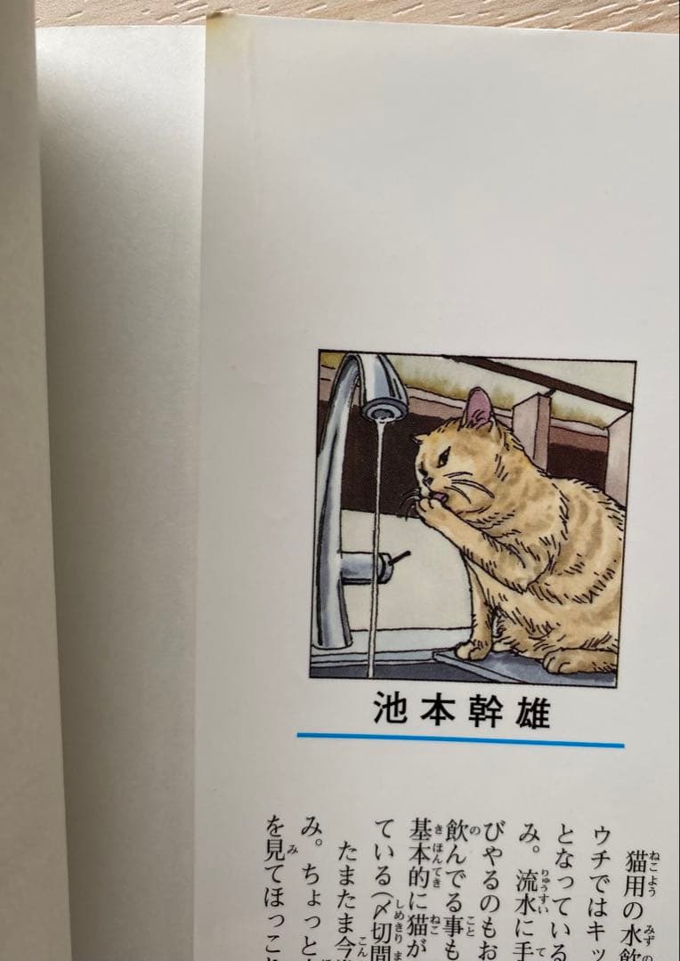 ボルト全巻(1〜20巻＋4巻・全初版・帯付き・ジャンパラ付き)