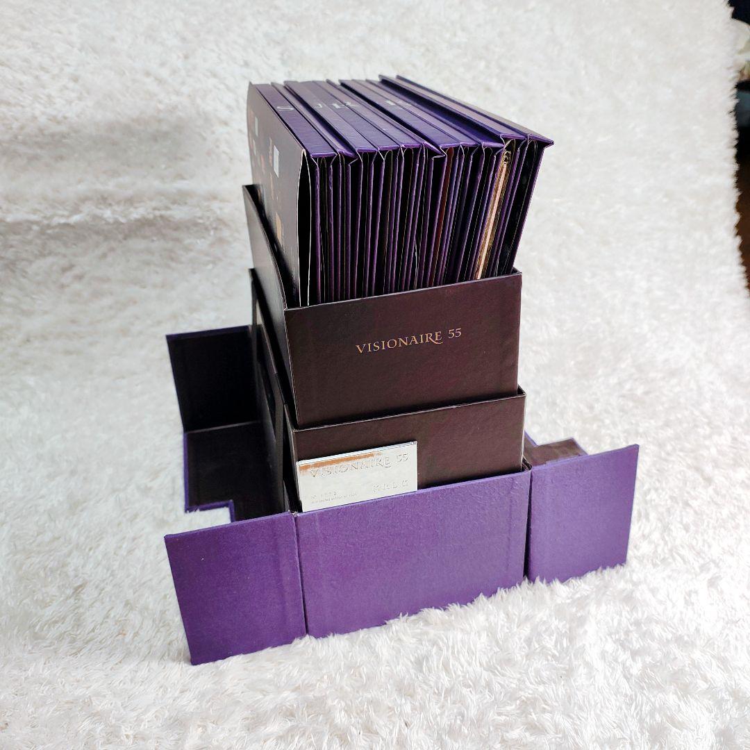 【限定4000部】ヴィジョネア 第55号 サプライズ ポップアップブック