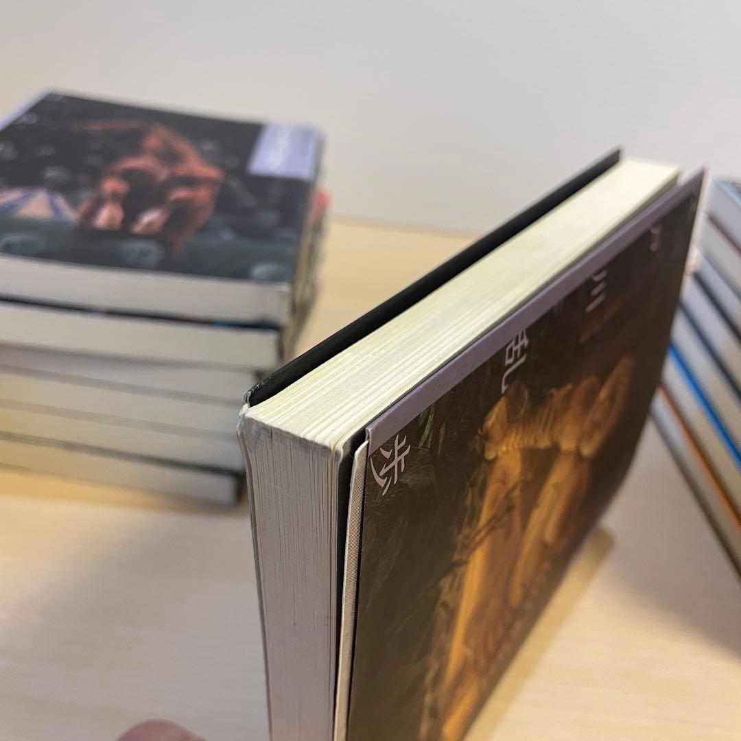 文庫版 少年探偵シリーズ 全26巻セット　江戸川乱歩