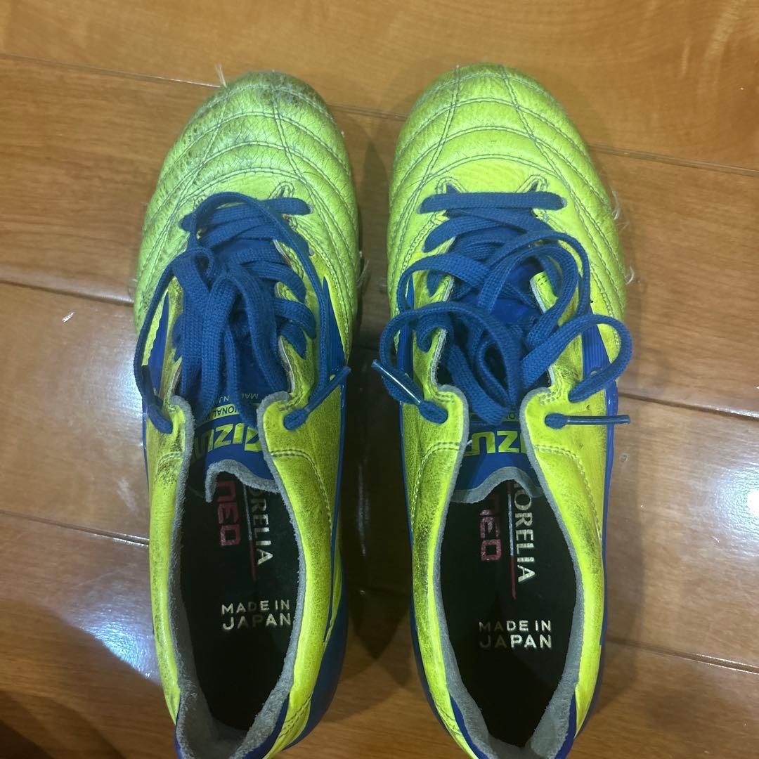 【限定カラー】モレリアネオ2 　25cm