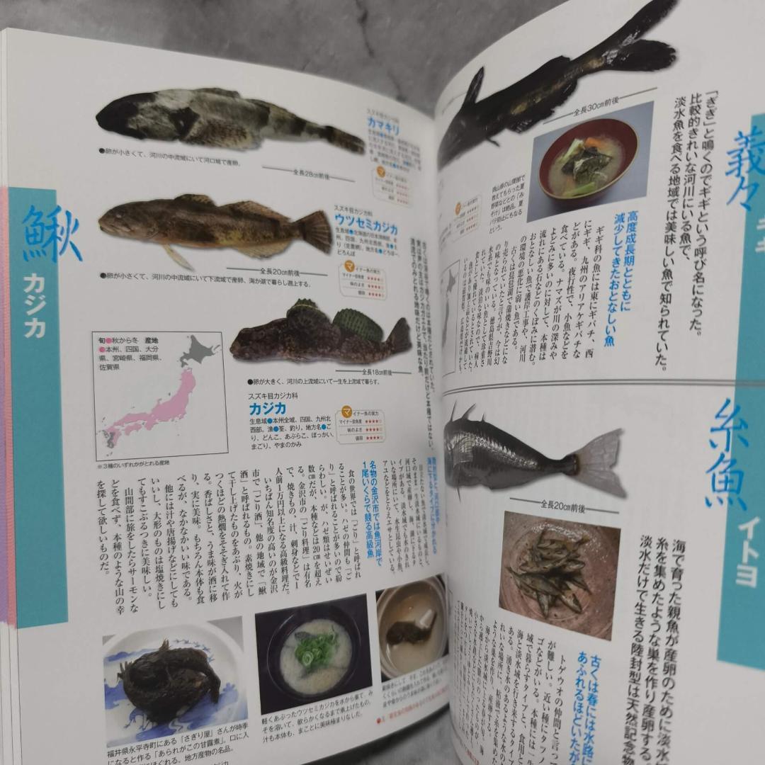 美味しいマイナー魚介図鑑★ぼうずコンニャク 藤原昌高 マイナビ
