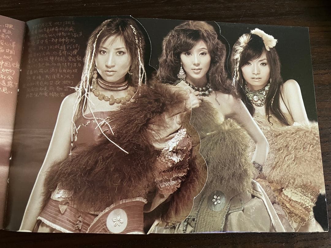 チベットのこころ バイマー・ヤンジン 女性ユニット 阿佳組合 CD DVD