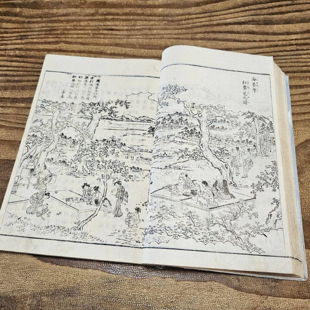yy9180 古い和本 江戸名所図絵 巻2 天璇之部 風俗 地誌 浮世絵 古文書