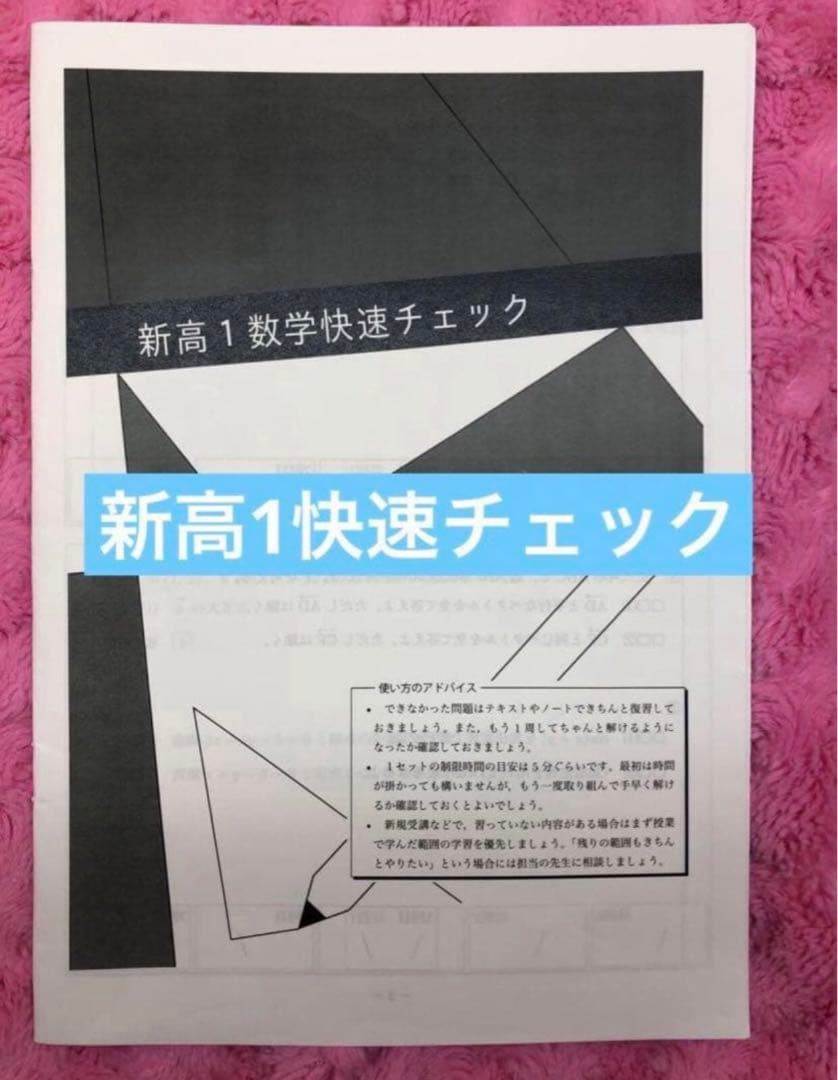 【フルセット独学可】鉄緑会 高1 数学 発展講座I/II ノート　プリント　講習