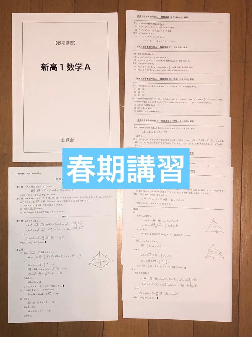 【フルセット独学可】鉄緑会 高1 数学 発展講座I/II ノート　プリント　講習