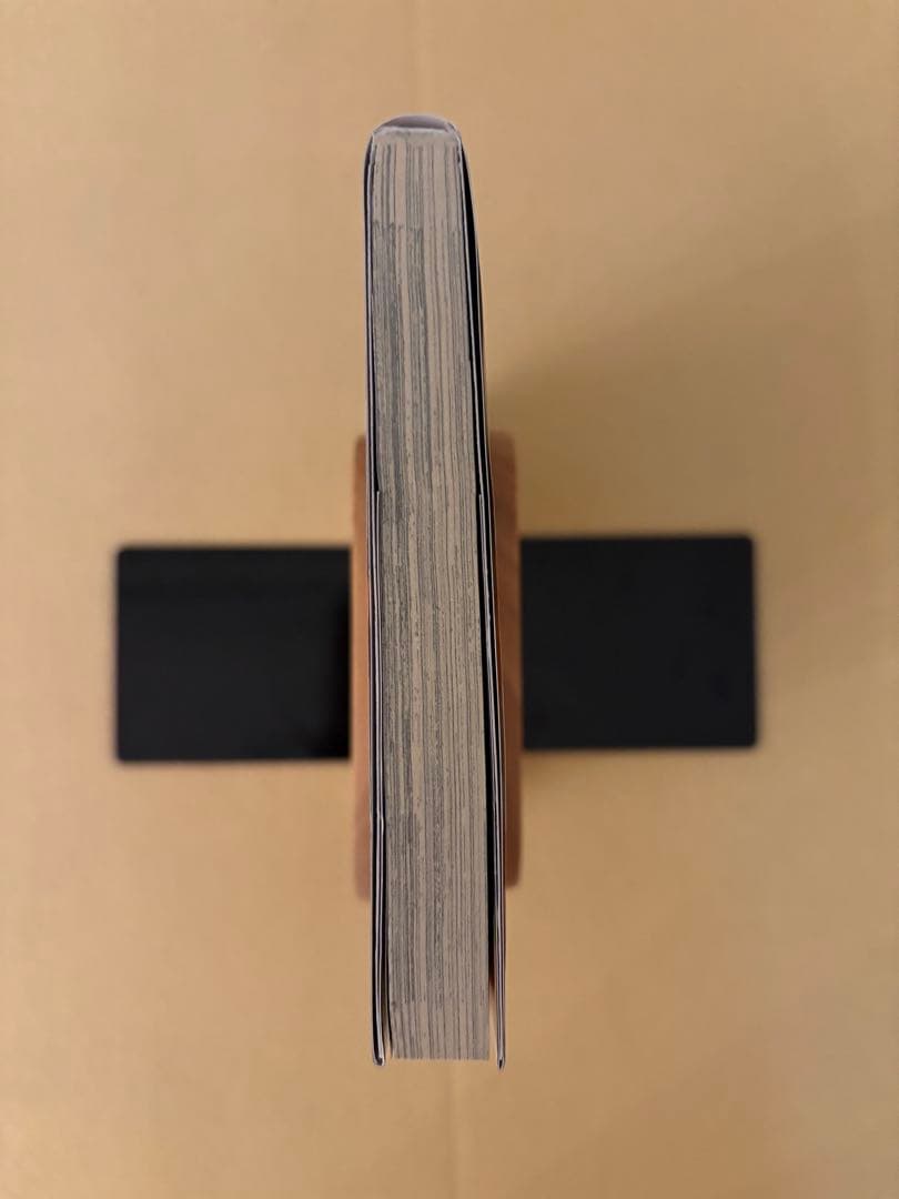 【希少】 閃乱カグラ 紅蓮の蛇 1巻 とらのあな 特典 小冊子 初版 帯あり