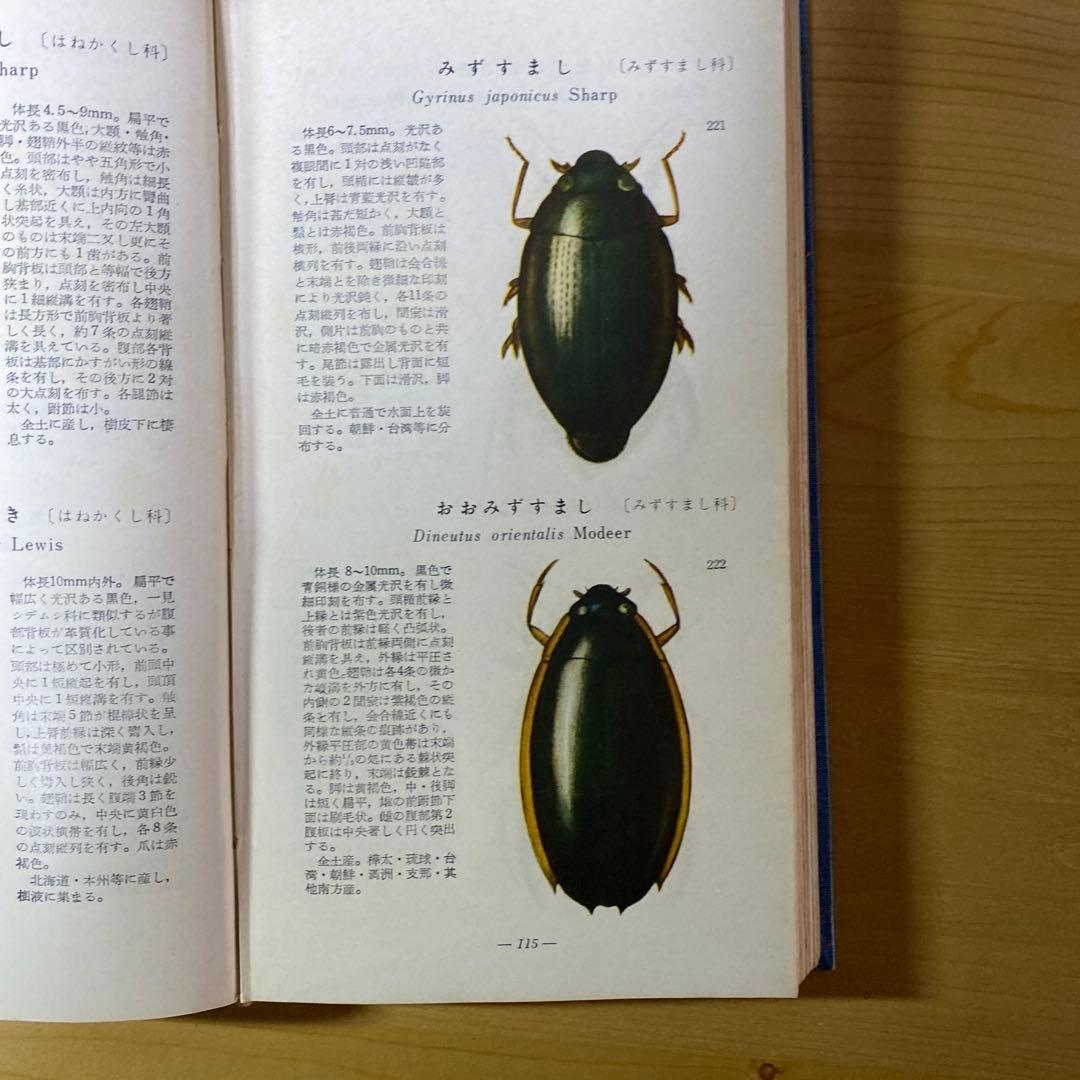 値下げしました　古書　学生版原色昆虫図鑑　2巻セット　北隆館