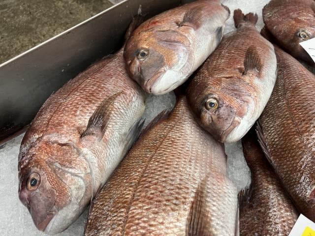 E type 80g3個 グロー 装着 爆光 鯛ラバ タングステン 鯛ラバ