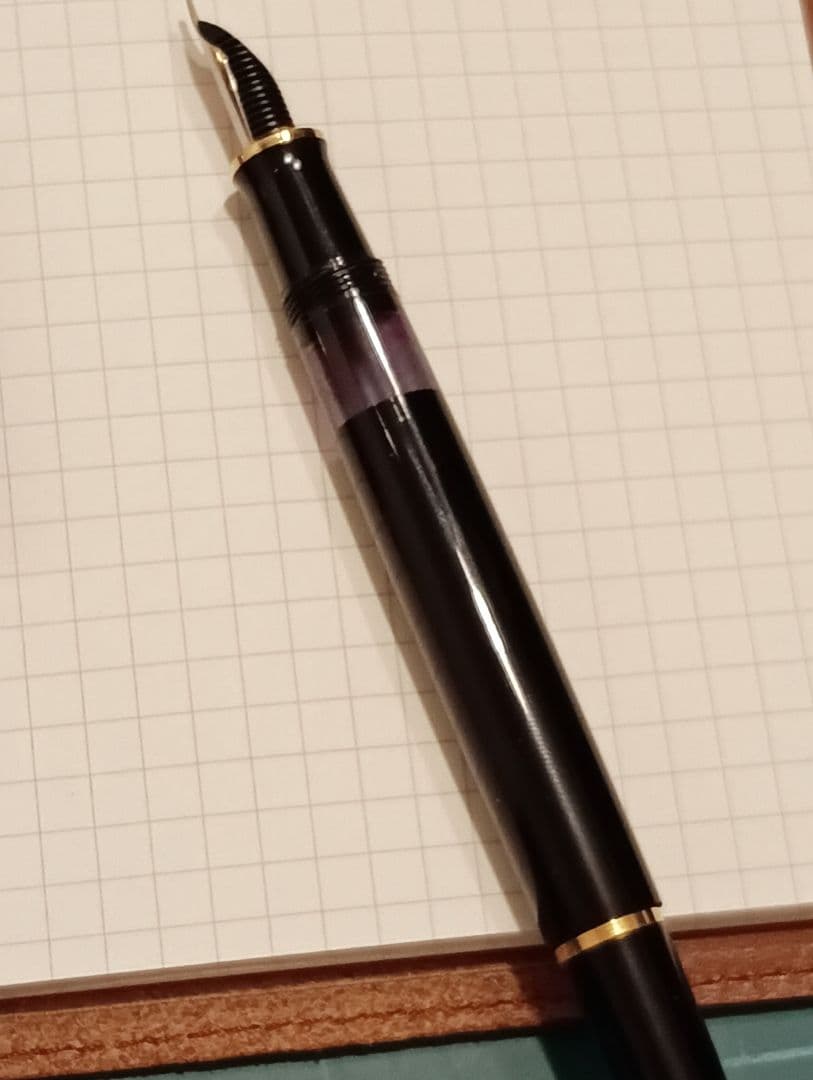 ペリカン　型番不明　鉄ペン　B 雛二羽